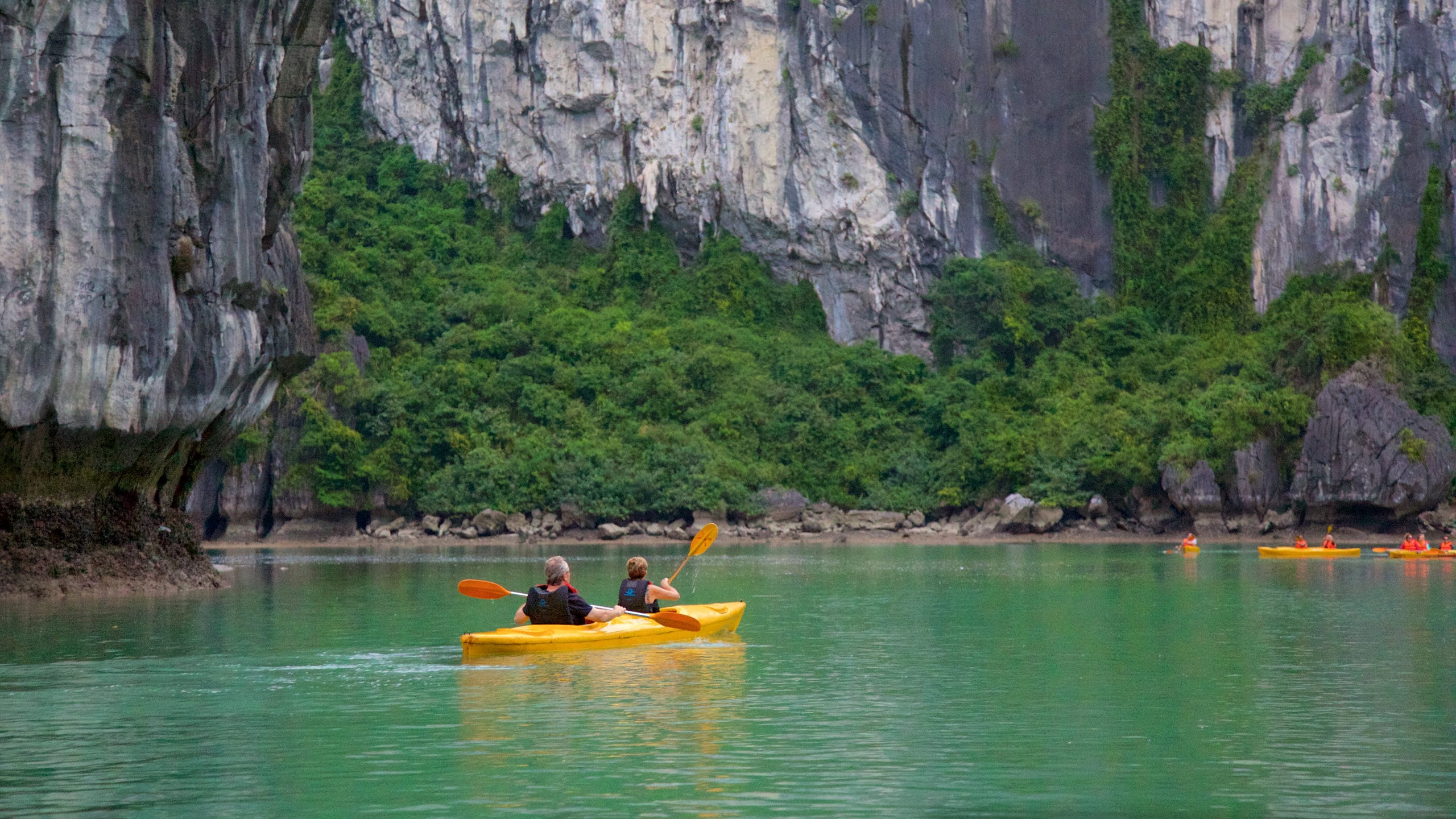 Overnight vs Day Cruise in Halong Bay: Which Should You Choose? 4 Halong Bay one day cruise