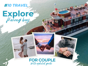 Halong bay day cruise 01/08/2025
