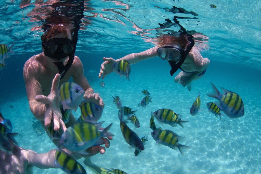 Best Time to Visit Halong Bay for Outdoor Activities 3 Halong bay day cruise - Halong snorkeling