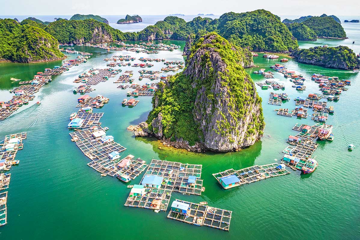 Halong Bay vs Lan Ha Bay: Which One Should You Visit? 4 Halong bay day cruise - Lan Ha bay floating village