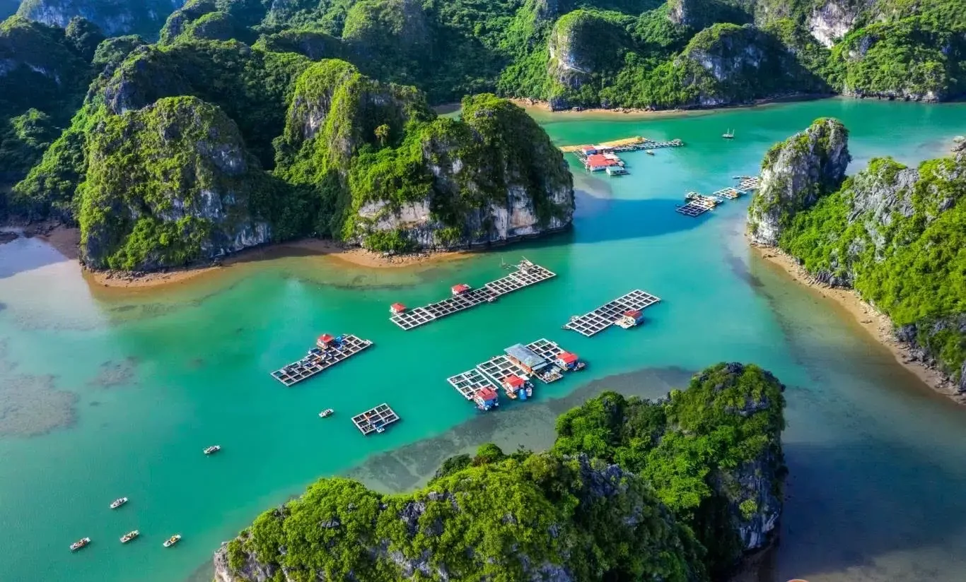 Ba Hang Village Is What Place to Discover in Halong Bay Day Cruise? Just Look Into It. 1 Halong Bay one day cruise