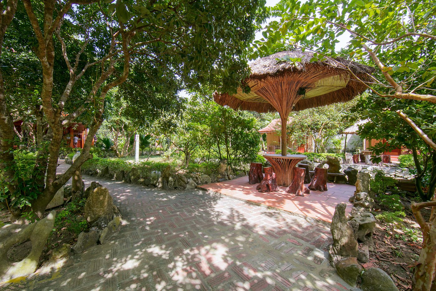 Lan Homestay Cat Ba – Cozy Local Style Stay Near Beaches & Town Center 3 Lan homestay Cat Ba