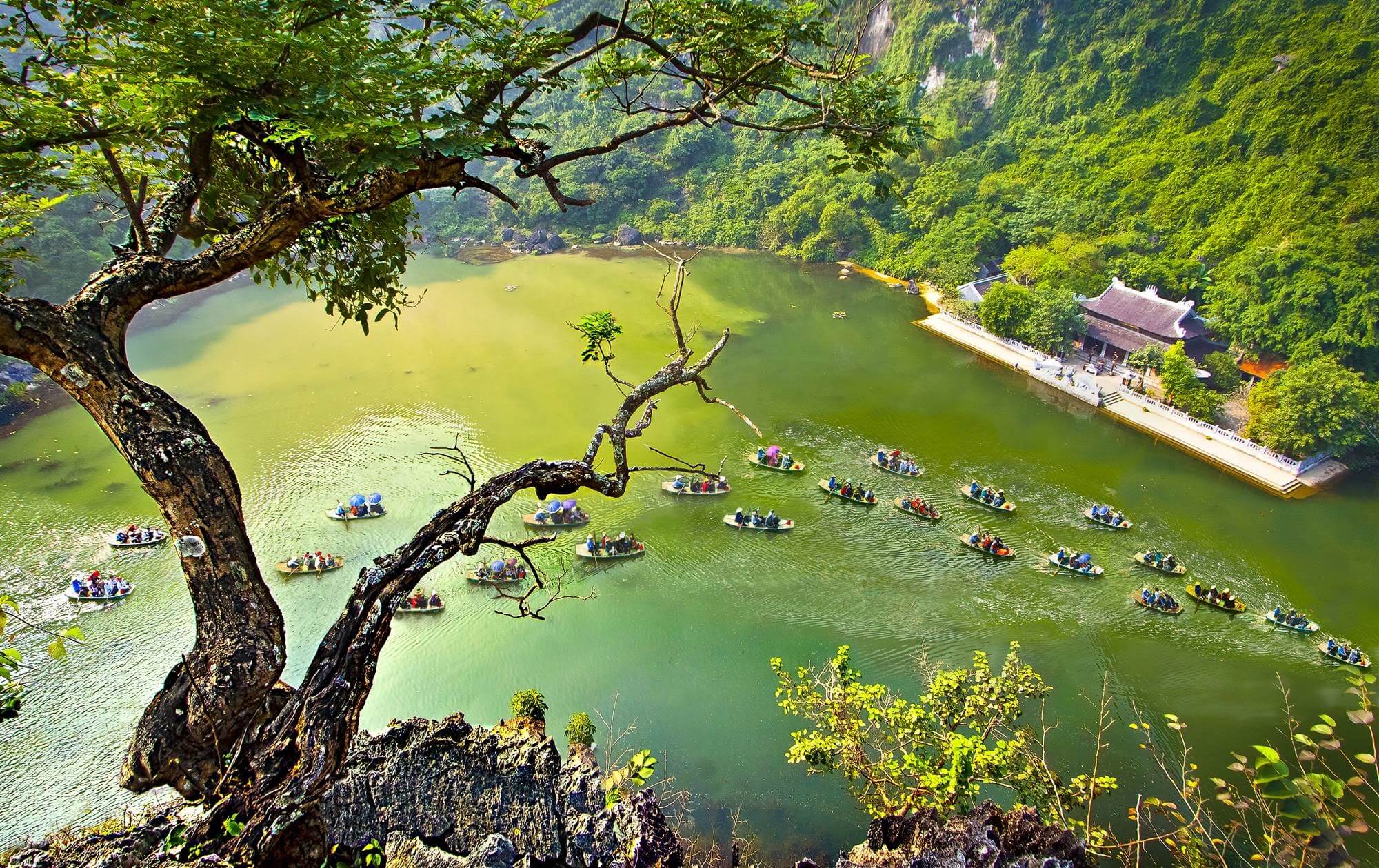 Tam coc, Ninh Binh view