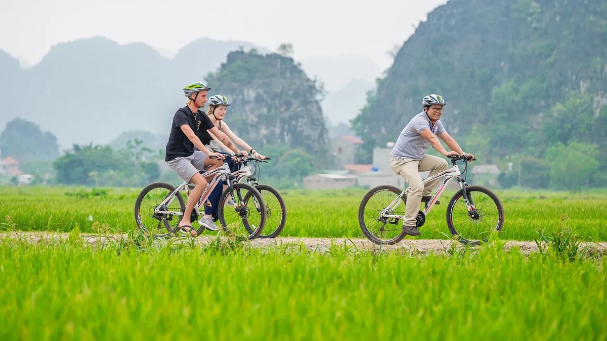 Have You Ever Heard of Halong Rice-Paddy? 2 Cycling through paddies
