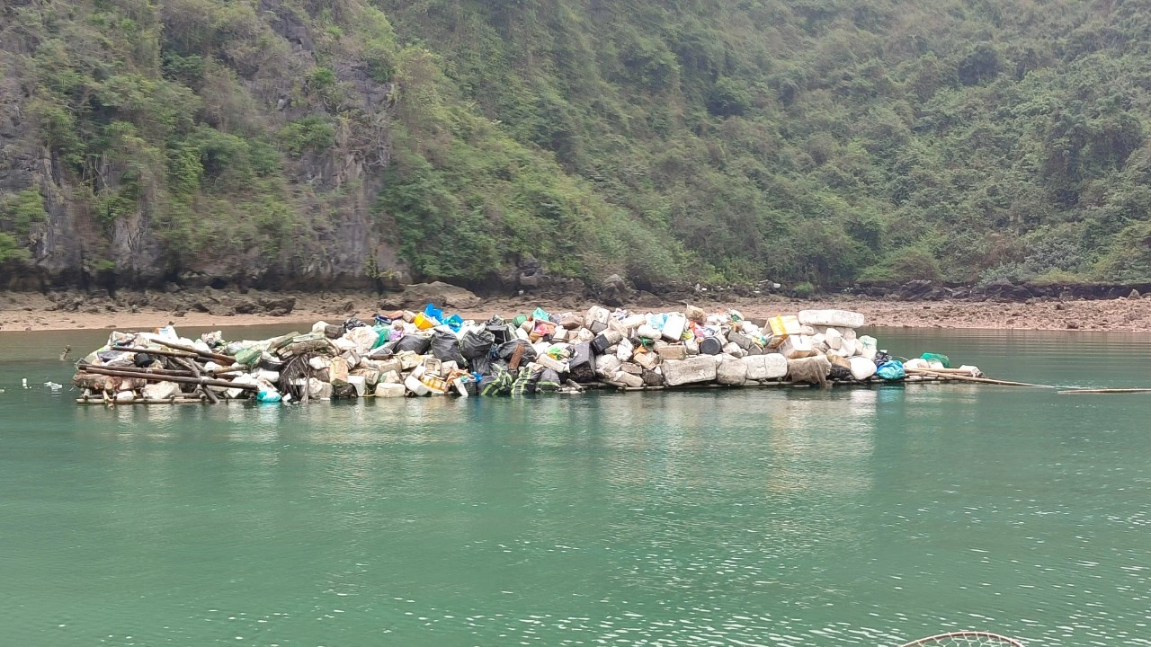 Halong waste