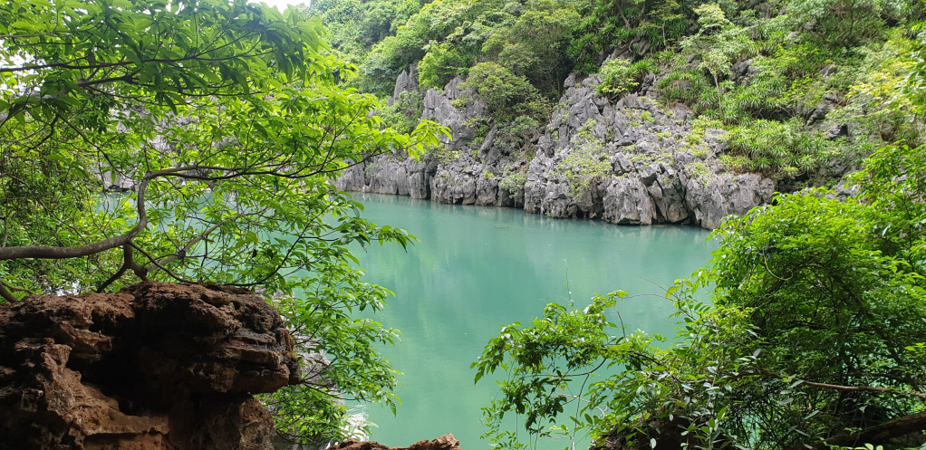 How Many Caves Are There In Halong Bay & Which Ones Can You Visit on Your Trip? 8 Ho Dong Tien cave