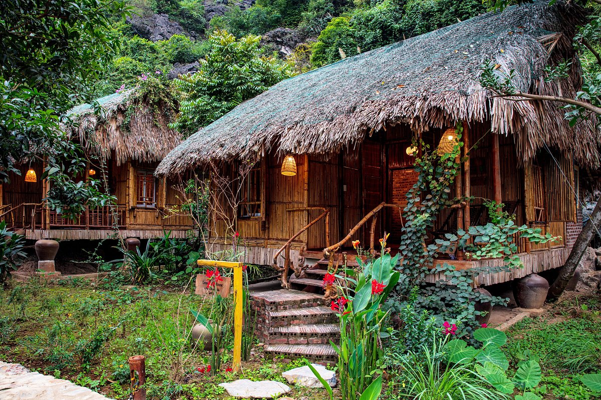 Have You Ever Heard of Halong Rice-Paddy? 6 Ninh Binh homestay