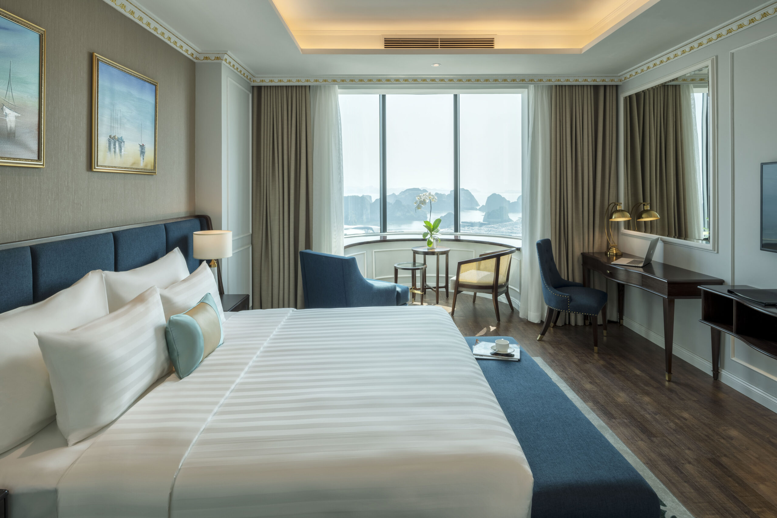 Suites & Premium Options 