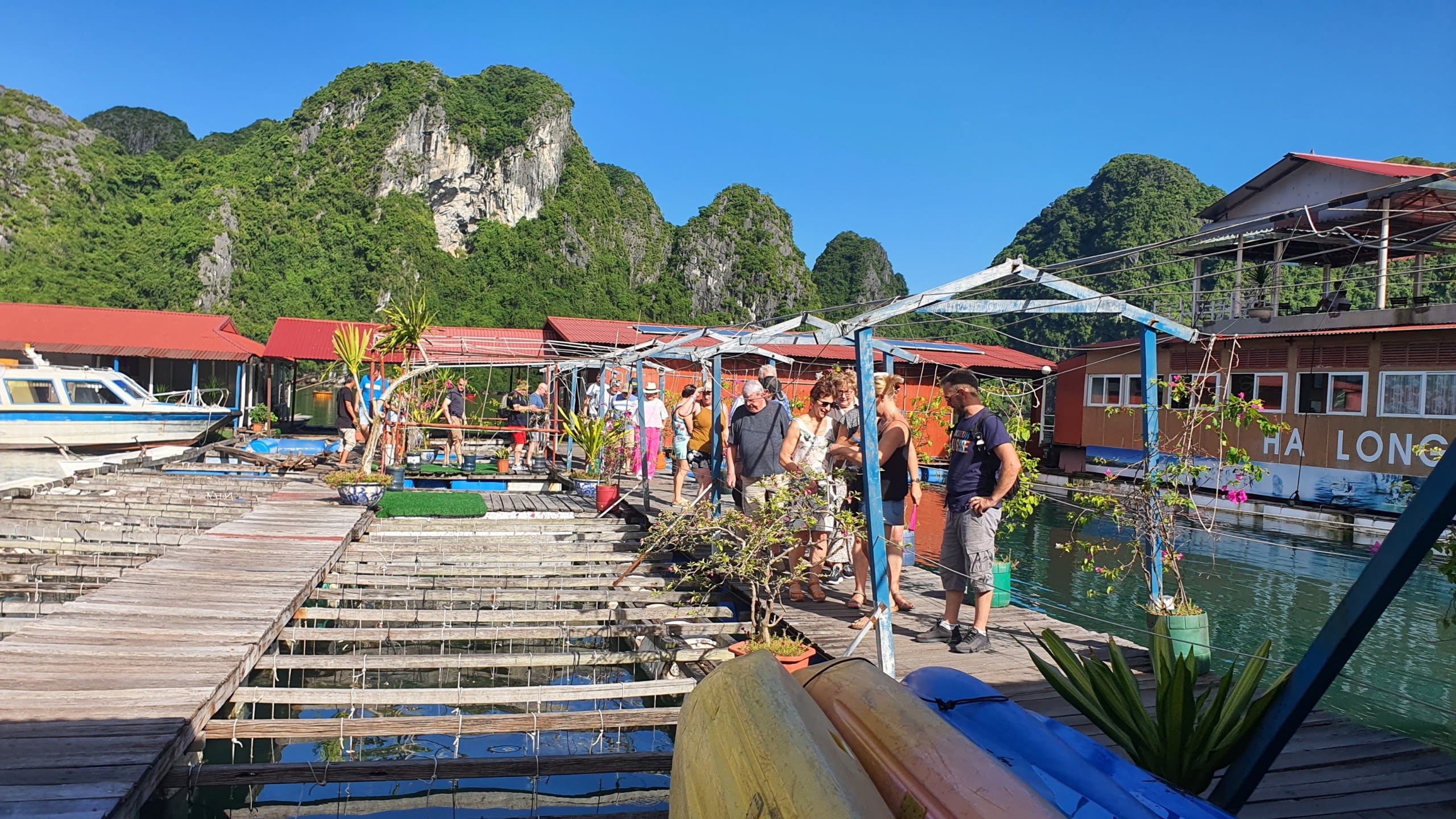 Tung Sau Pearl Farm – From Oysters to Jewelry