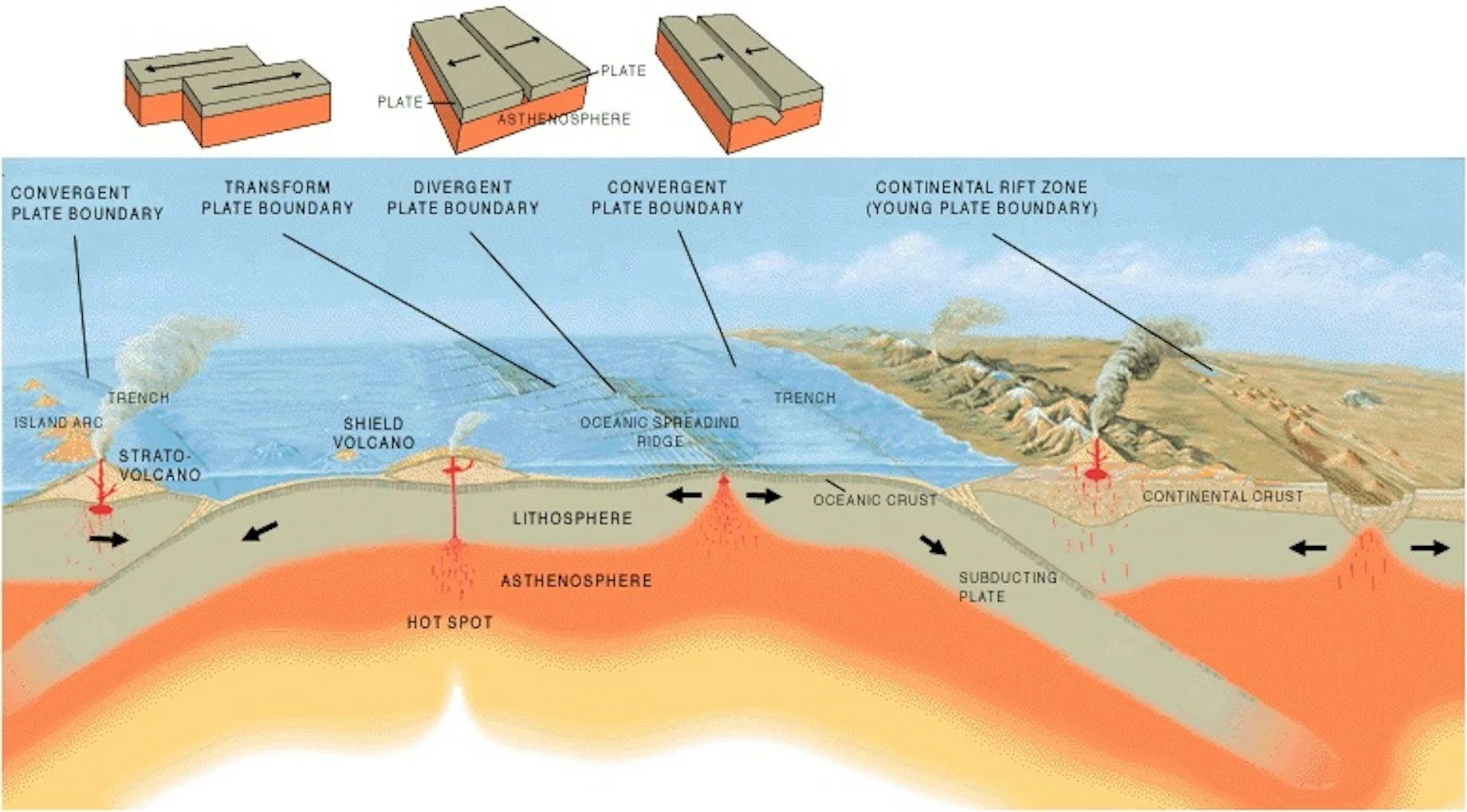 tectonic movements