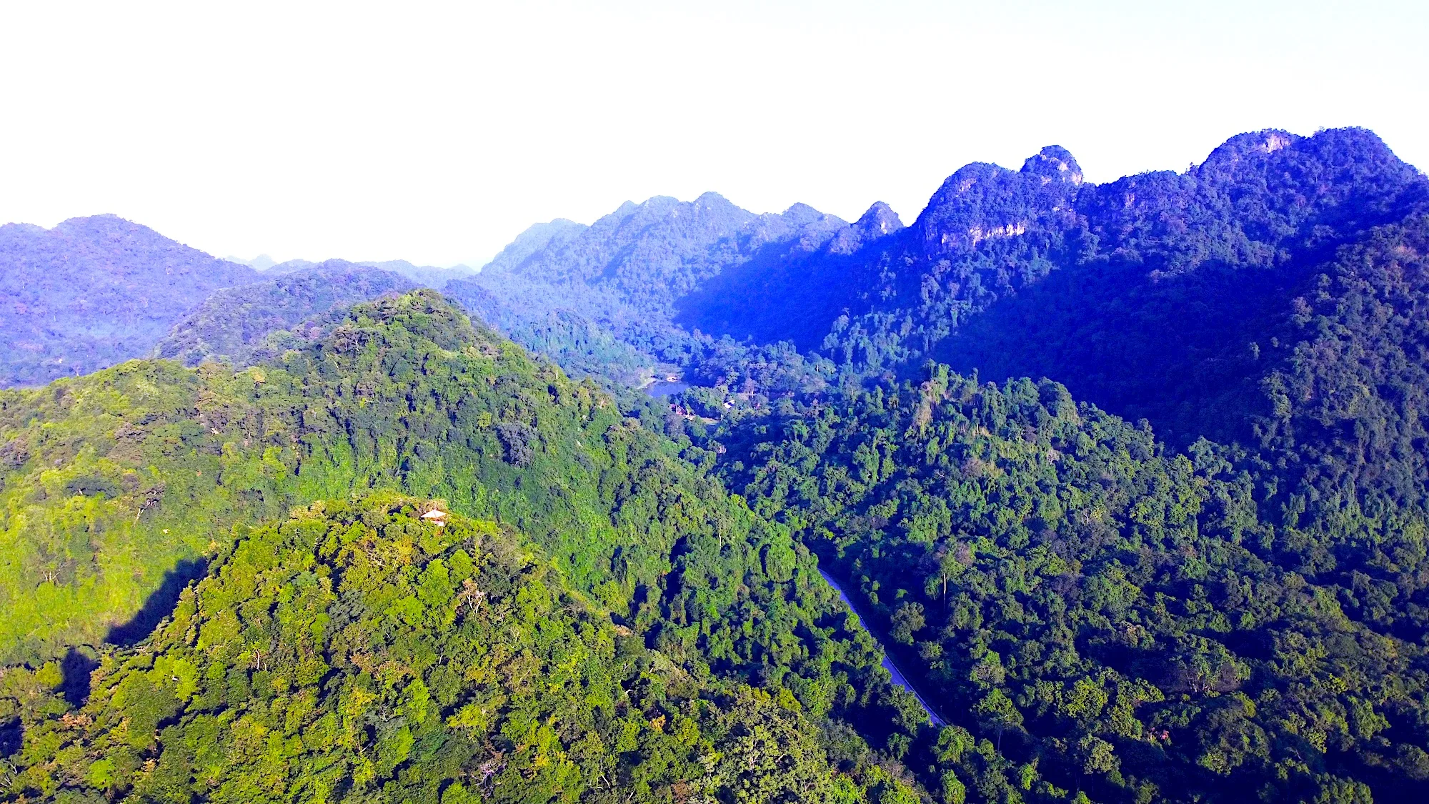 Where Can You Go Hiking in Ninh Binh — The “Halong Bay on Land” Adventure for Nature Lovers 6 Cuc Phuong National Park — Vietnam’s Oldest Forest Trail