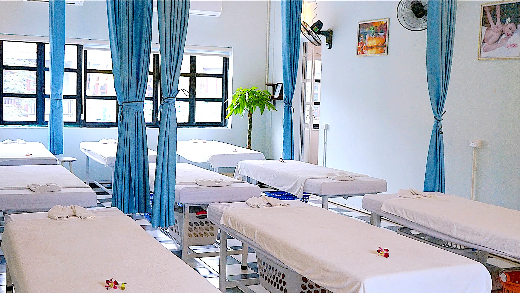 What Are the Best Massage Spots Around Halong Plaza Hotel? Relax & Unwind Near Your Stay 6 Flowers Massage & Steam room