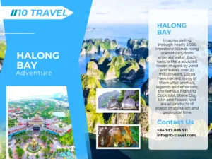 Halong Bay — The Natural and Modern Architectural Wonder of Vietnam