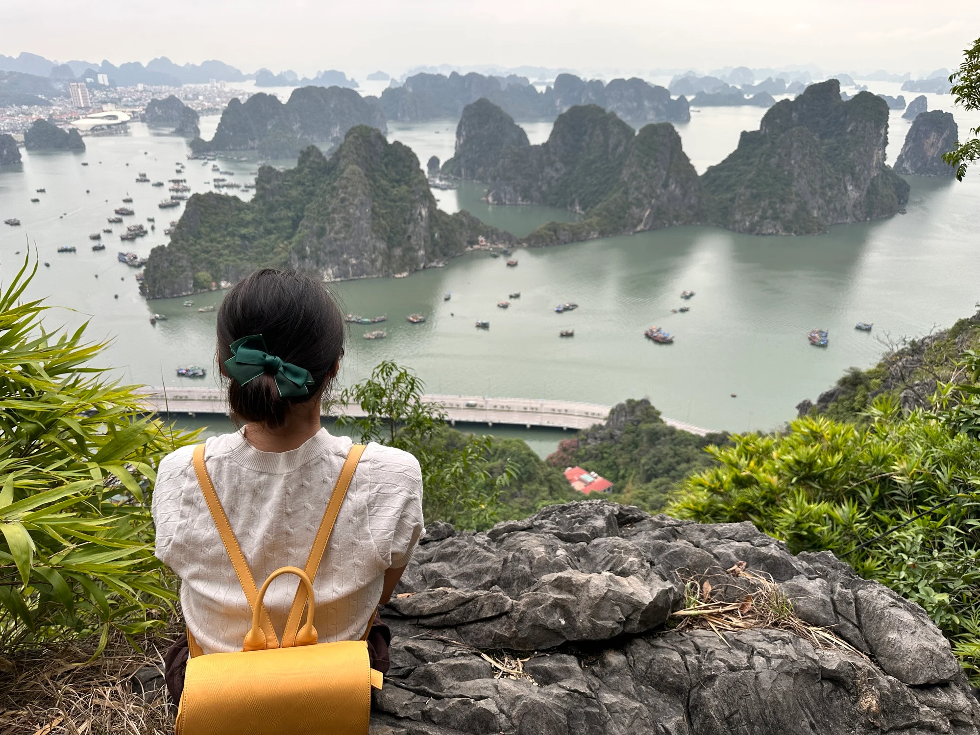 How Can You Enjoy Halong Poem Mountain in One Day? The Bay’s Most Poetic Viewpoint 4 Reach the Peak and Enjoy the View of Bai Tho mountain