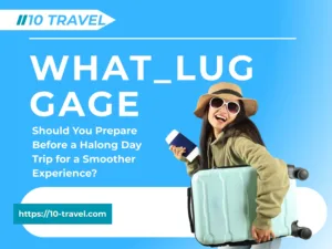What Luggage Should You Prepare Before a Halong Day Trip for a Smoother Experience?