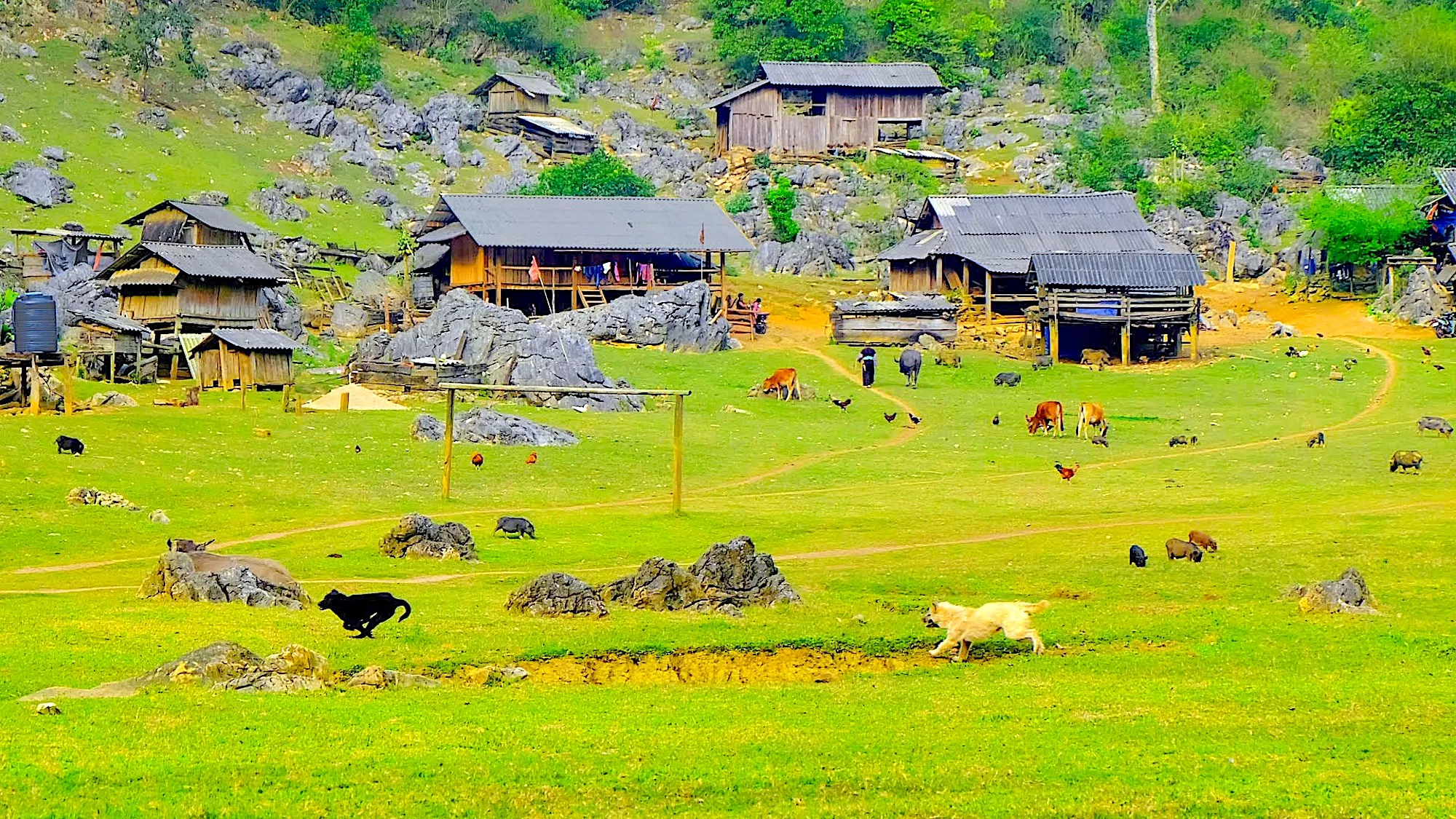 Hang Tau - Moc Chau village