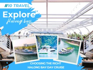 Is Bigger Really Better? Choosing the Right Halong Bay Day Cruise