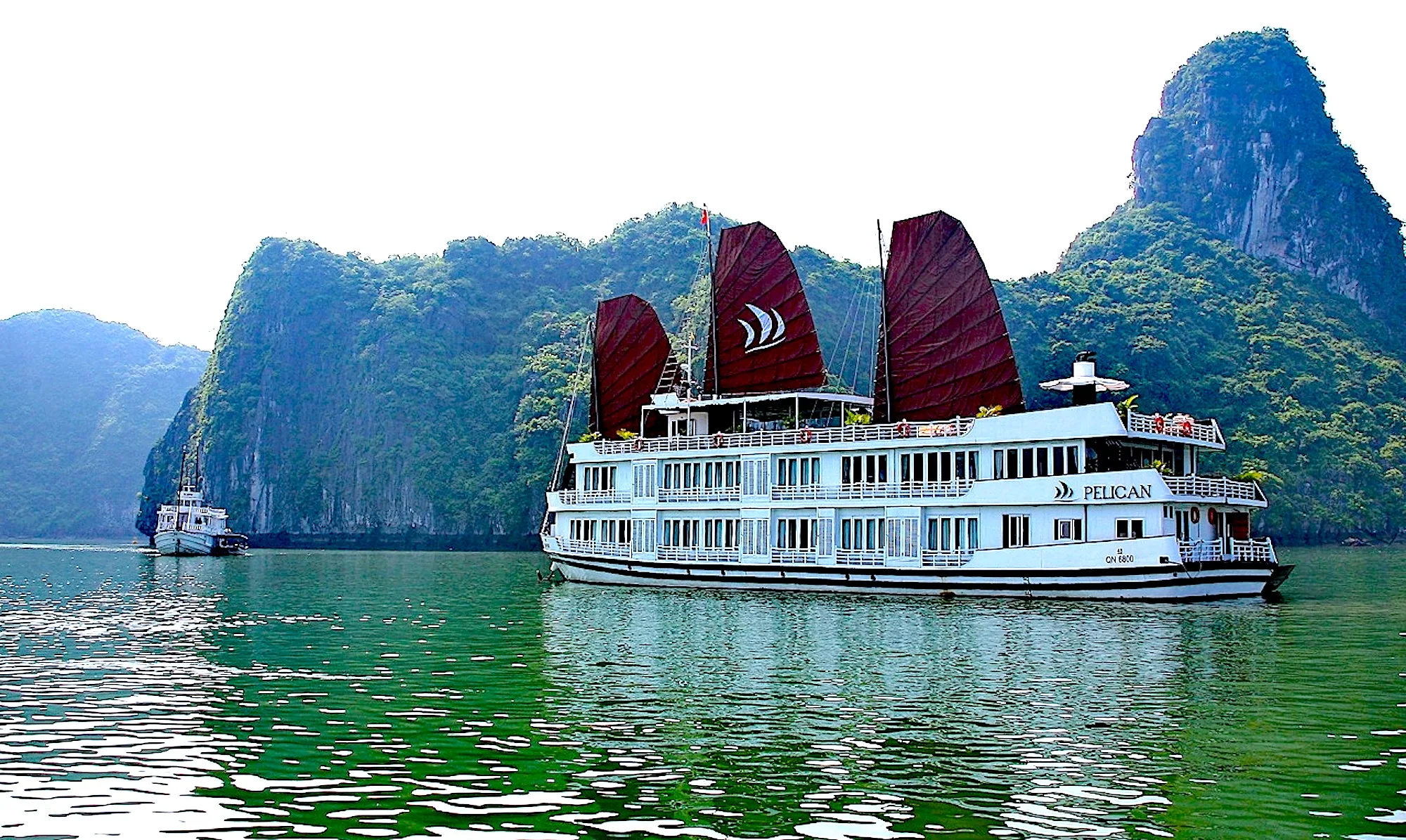 Perfect Two Days, One Night Escape on Pelican Cruise for Indian Travelers 2 Pelican Cruise for Indian Travelers