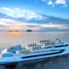 Halong Dolphin Cruise